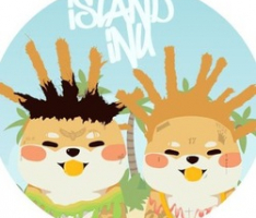 islandinu.io