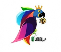 ivogel-finance.com