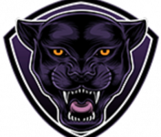 jaguarswap.com