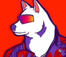 jejudoge9b9.com