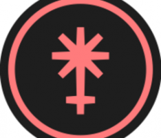 junonetwork.io