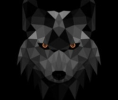 kaiinu.io