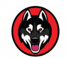 kaikeninu.net