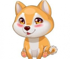 keninu.com