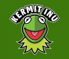 kermitinu.com