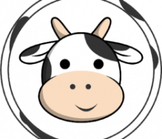 kindcow.finance