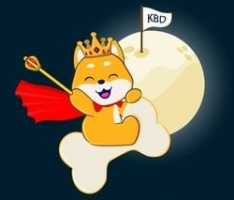 kingbabydoge.io
