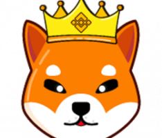 kingshibaofficial.com