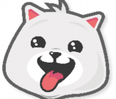 kishu.baby