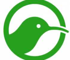 kiwi-token.com