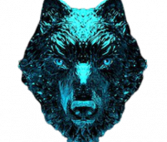 koriinu.io
