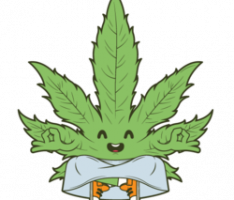 kush.finance