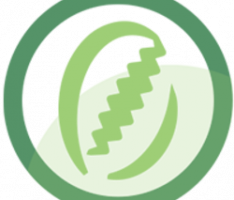 lekan.network