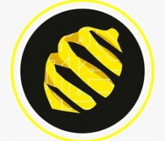 lmn.network