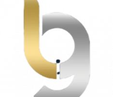 levelg.net