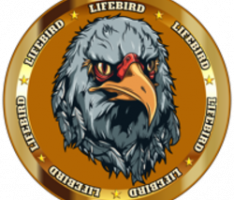 lifebirdtoken.com