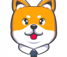 lildogefloki.fun