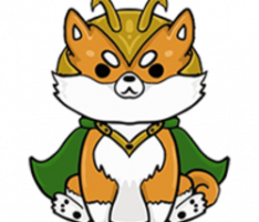 lilfloki.com
