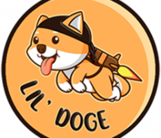 lildogebsc.com