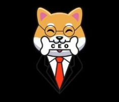 lilflokiceo.com