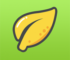 limontoken.com