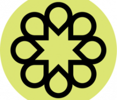 liquidcollective.io