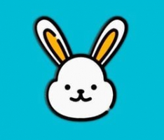 newlittlerabbit.net