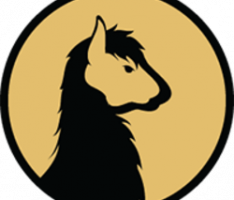 llamaswap.finance