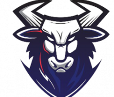 madbull.xyz