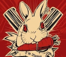 madrabbit.info