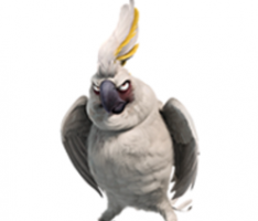 magicbirds.network