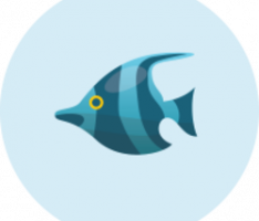 marlin.pro