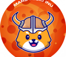 marsflokiinu.finance