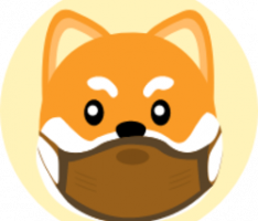 maskdogecoin.io
