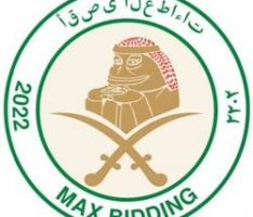 maxbiddingtoken.com