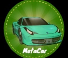 metacarus.com