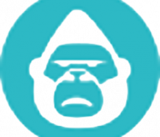 themetakongz.com