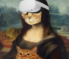 metacat.finance