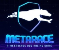 metadog.racing