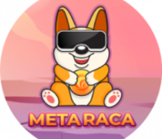 metaraca.io