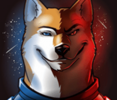 metashib.space