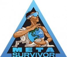 metasurvivor.online