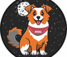 metaversedogcrypto.com