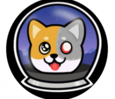 microshiba.net