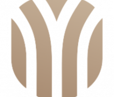 minersdefi.com