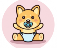 minibabydogeofficial.com