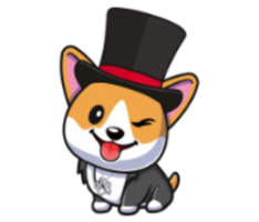 minihollywooddoge.com