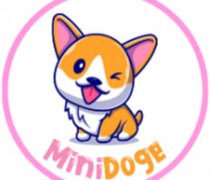 minidoge.finance