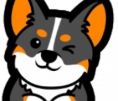 minieverdoge.com