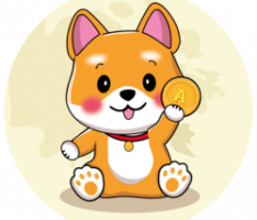 miniflokiada.com